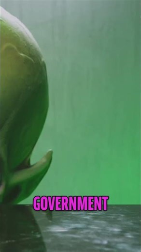 Aliens vs Humans Government's Shocking Vulnerability!