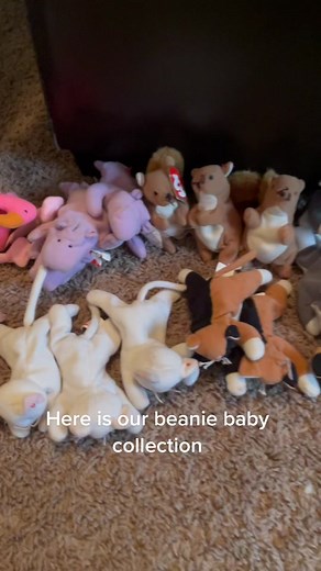 Welcome to beanie baby tik tok, the tik tok you never though existed… #fyp #beanieboos #beaniebabies #collectorcheck