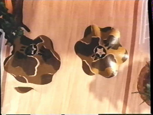 The Many Adventures of Winnie the Pooh (1996 VHS)