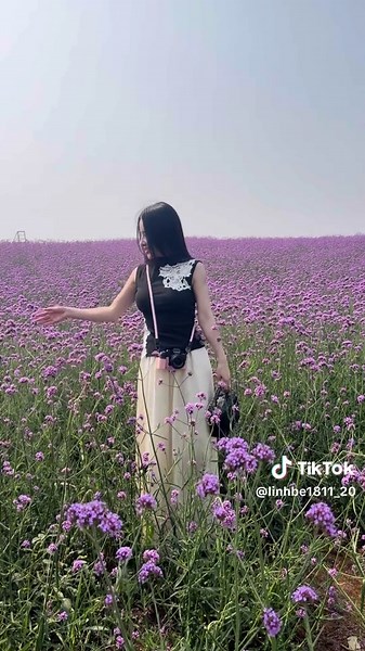 26 Sơn La chào anh emmmmm. Trước thềm xuống Hà Nội được đến Lỏi Tươi Fram . Đẹp nè. #xuhuong #linhbe1811_20 #linhnho