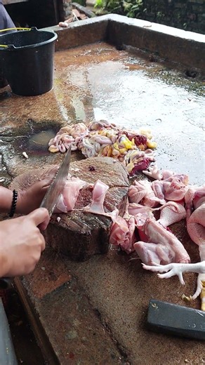 The Art of Chicken Cutting: Techniques and Strategies