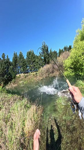 Trout Fishing Adventures in Lake Taupo