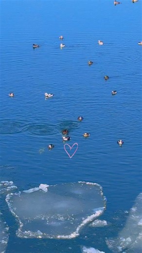 Anna Bolthouse on Reels