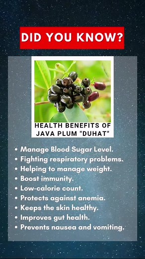 Health Benefits of Java Plum❤️ #healthyliving #healthylifestyle #naturalremedies #herbalmedicine #organicfruits #naturesgifts