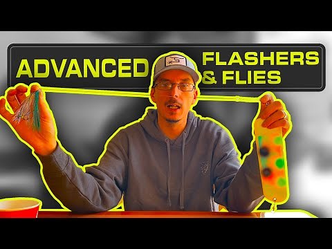 Advanced Flasher and Flies