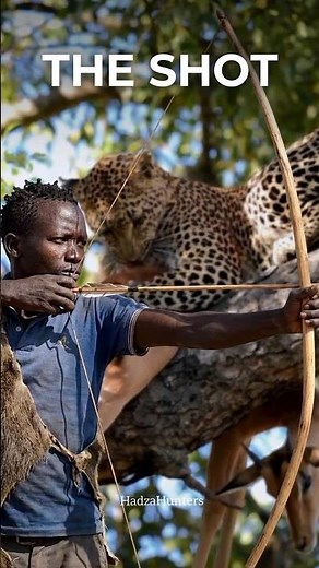 ¡El cazador lo cambió todo! 🐆Unbelievable Leopard & Prey Shot!🎯🏹#wildlife #cazares #animals #africa