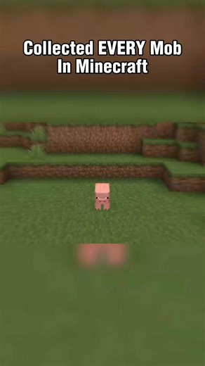 Collected EVERT Mob In Minecraft Pt1 | yt: | MC Clips