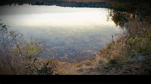 一口气看完由真实事件改编的恐怖电影《波登湖》
