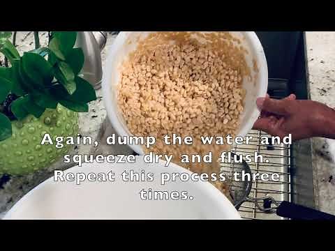 Dehull Your Soybeans in 20 Minutes