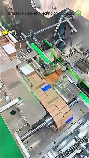 Automatic Carton Packer Machine