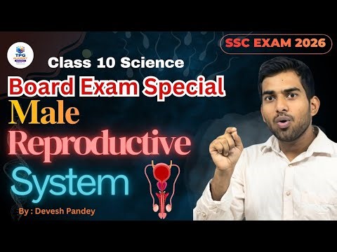 Class 10 Science 2 | Male Reproductive System | Guarenteed Question | Life Process Part 2