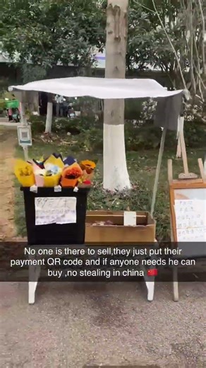 Only in China,No seller, no theft—just flowers and a QR code.Scan, pay, and take a bloom. #china
