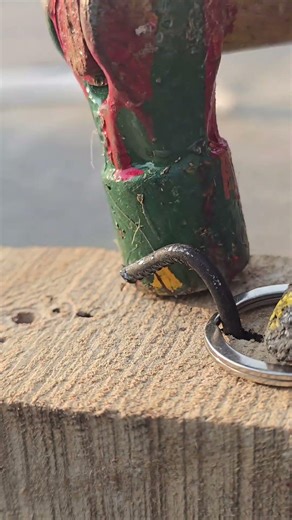 How to Fix Loose, Rusty, and Stripped Screws Like a Professional Carpenter