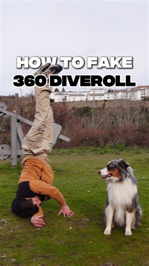 Alex | Workouts on Instagram: "How to Fake 360 Dive Roll #tutorial 🤝 Comment TUTORIAL for a FREE step by step guide. #360diveroll #diveroll #diverolls #tutorial"