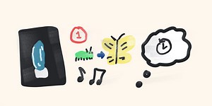 Common Features of Each Chapter