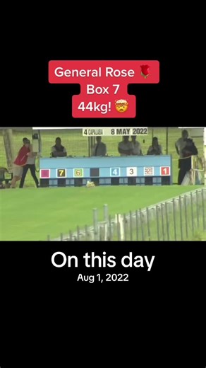 Understanding Historical Events on August 1