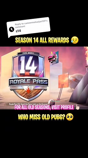 Mr248 Gaming on TikTok