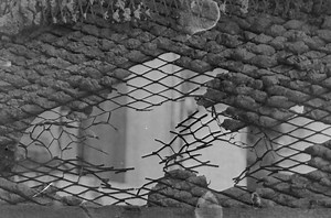 PRACTICAL COURSEWORK PROJECT 2