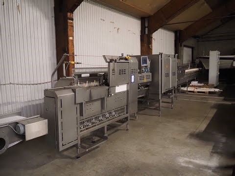 1921-210: Marel Stork Poultry Processing B.V. modular filleting system for chicken