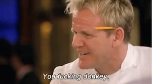 You Fucking Donkey | Know Your Meme