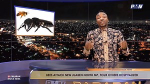 BEES DON ATTACK PEOPLE 4 GHANA | Diamond Dietanuru Osakorigho