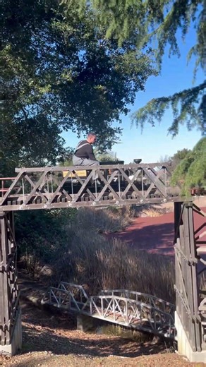 Steam Locomotive Crossing Over Big Bridge #dangerous #fun #train #hobby