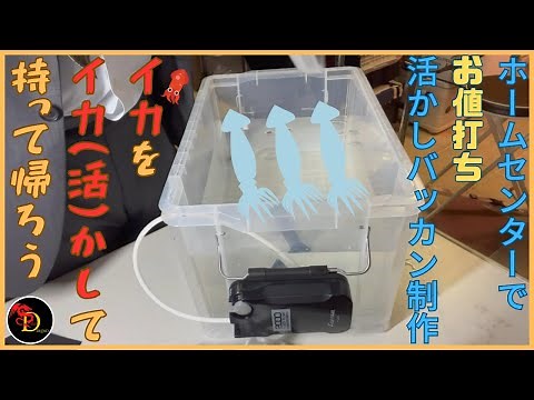 ホームセンターの材料でお値打ち活かしバッカン制作！イカを活かして持って帰ろう！！
