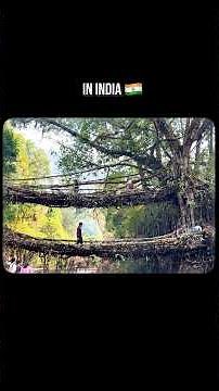 3,500 Steps to Meghalaya’s Living Root Bridge! | Trek to Double Decker Root Bridge & Blue Lagoon