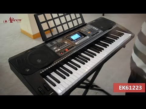 Aileen Music Electric Keyboard Electronic Organ Sound demo