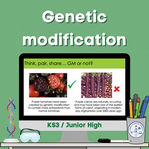Genetic modification (KS3)