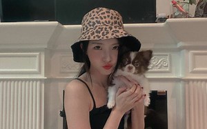 【Nene郑乃馨】细数六年以来nene参与过的官方MV |合集 持更