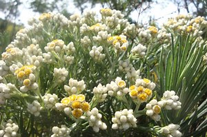 Ingin Mendaki Gunung? Berikut 7 Hal yang Perlu Kita Persiapkan - National Geographic