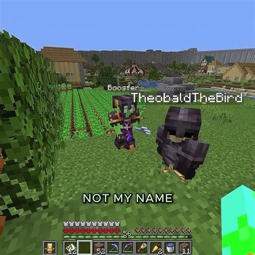 Boosfer Ragebating Parrot And Theo 🤣#shorts #minecraft