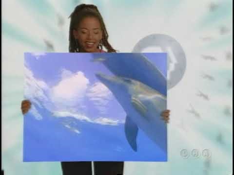 PBS Package (1998)