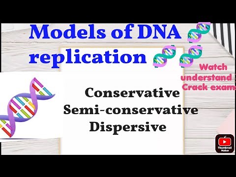 Models of DNA replication|semi-conservative, conservative, dispersive model of Replication