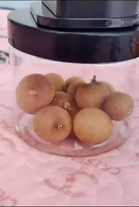 Shenghang BIRD Toothpick Box - Funny Portable Plastic Toothpick Holder, Automatic Telescopic Dispenser