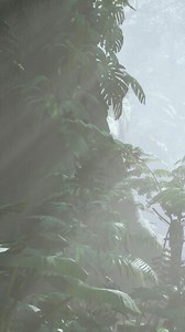 inside a rainforest covered in bright green moss