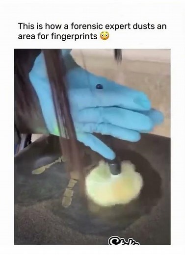 How Forensic Experts Detect Hidden Fingerprints | Crime Scene Science Explained