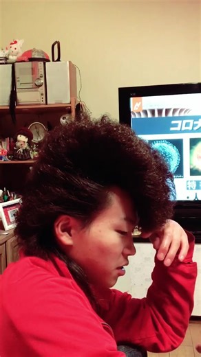 平成のツッパリねぎ坊のヘアスタイルについて