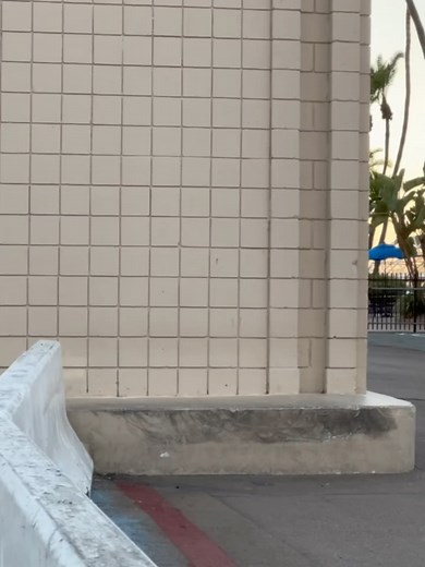 Animal Bikes on Reels