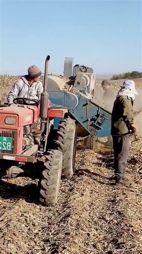 cool agricultural machine for threshing harvested peanuts #shorts