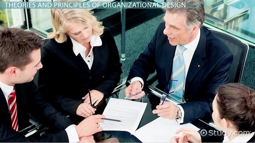 Organizational Design: Theory, Principles & Definition