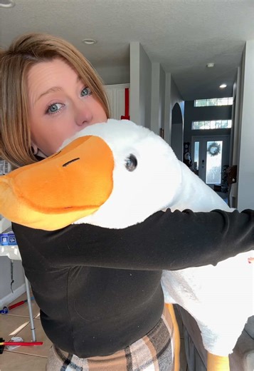 🪿🪿🪿 Goose incoming! I guess he can be my new pillow?! #Goose #StuffedAnimal #StuffedAnimals #goosetok #plushie