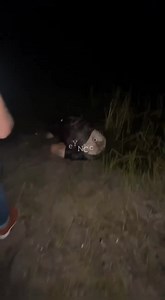 Alligator wanted dudes arm worse then he did