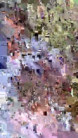 Meet these adorable wombats Partner: crazy_wombat_lady IG: https://www.instagram.com/crazy_wombat_lady | Bored Panda Animals