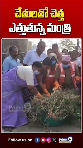 చేతులతో చెత్త ఎత్తుతున్న మంత్రి #ministerseethakka #latestnews #viralvideo #mulugudistrict