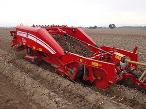 GRIMME WR 200 | Windrower for potatoes | 2-row