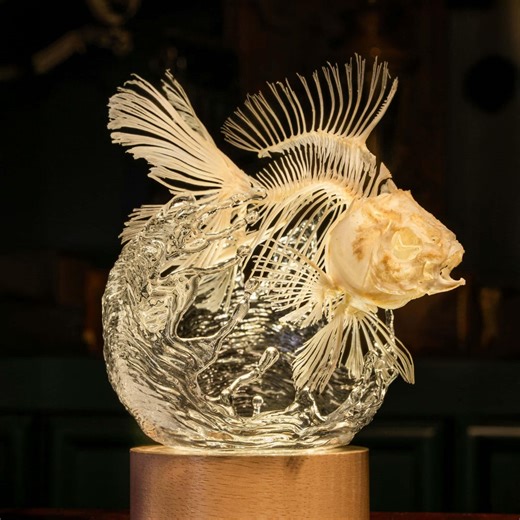 Goldfish Skeleton Lamp | Real Fish Anatomy Water Effect Sculpture | Gothic Oddities Night Light - Etsy UK