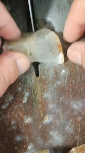 16 reactions | Di potongan ini ada dendrit | Indra Nur | Facebook