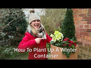 How To Plant A Winter Container